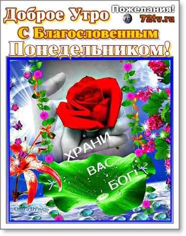 Благословенного утра понедельника