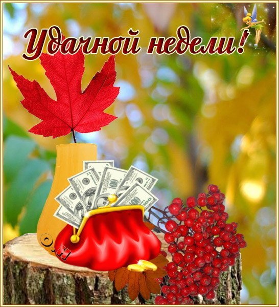 Доброго осеннего понедельника и удачной