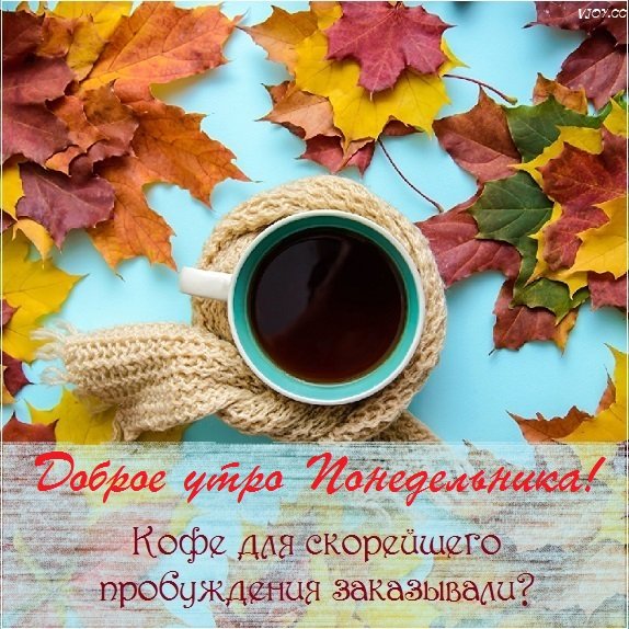 Доброе осеннее утро понедельника