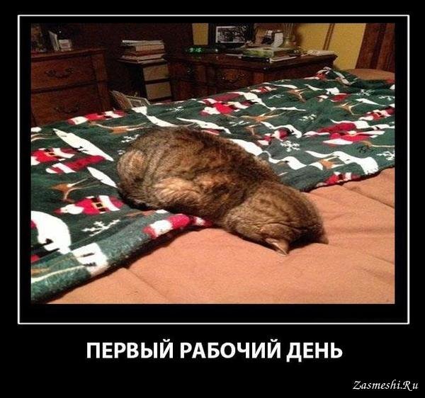 ТС первым рабочим днем