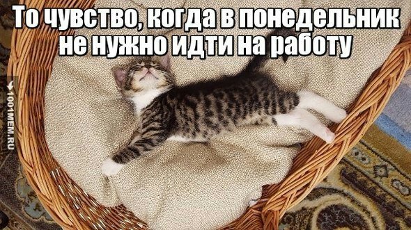 Когда понедельник выходной