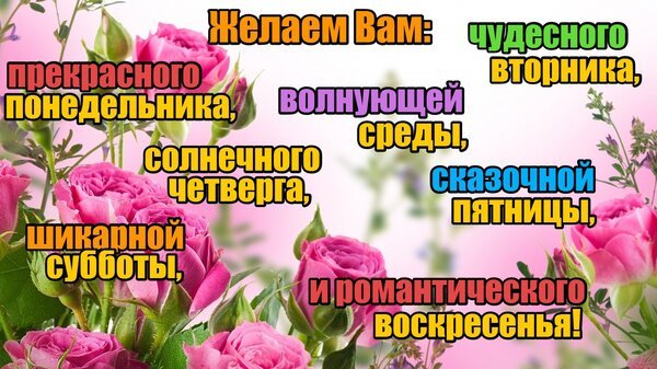 Счастья нам с понедельника