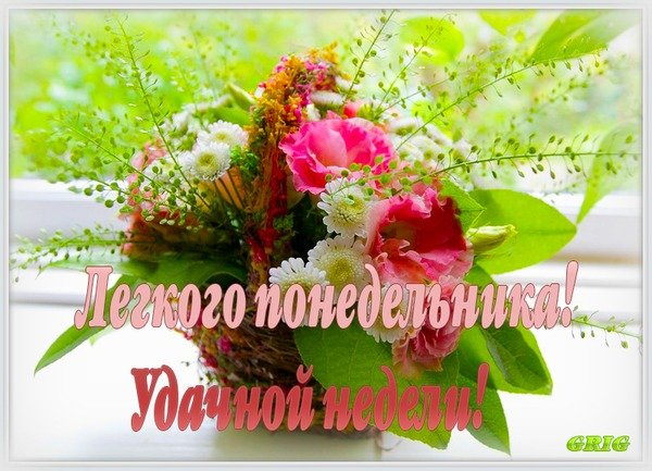 Лёгкого понедельника цветы