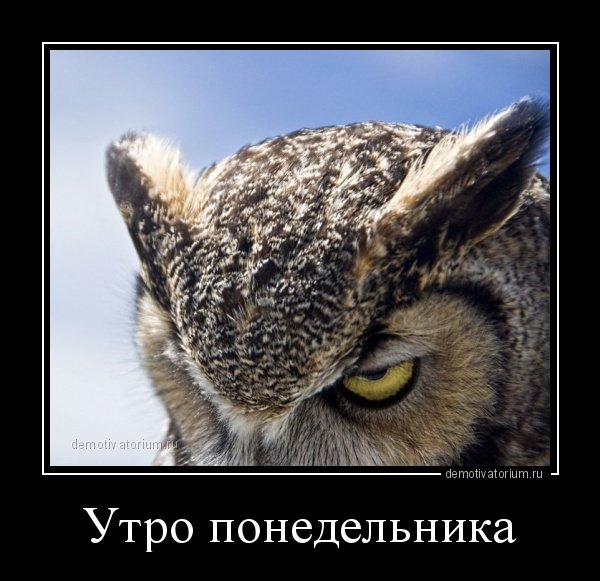 Утро понедельника добрым не бывает