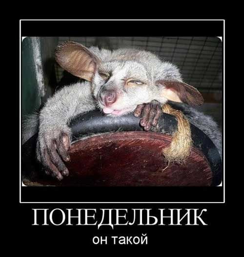 Понедельник демотиваторы смешные