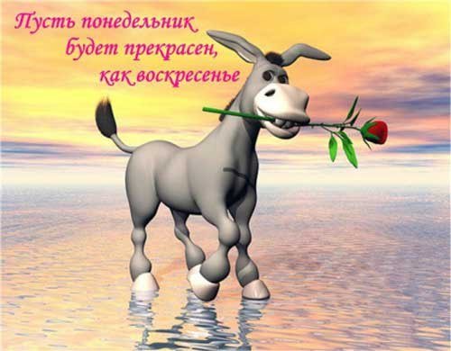 Отличного трудового дня