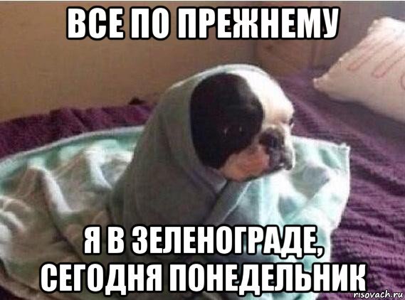 Сегодня понедельник Мем