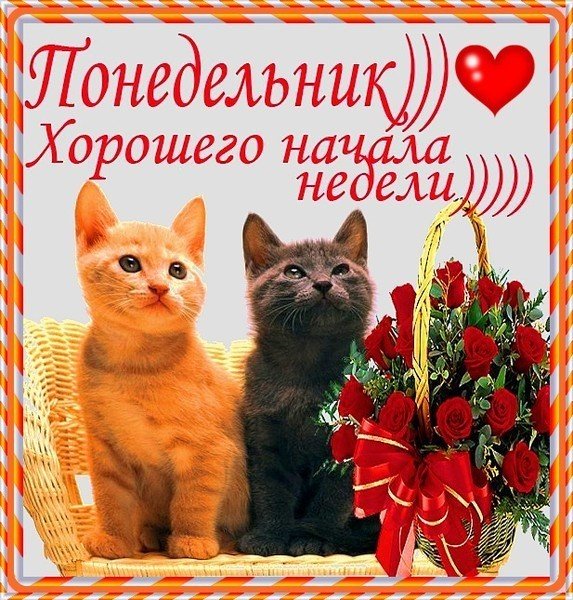 Открытки с понедельником
