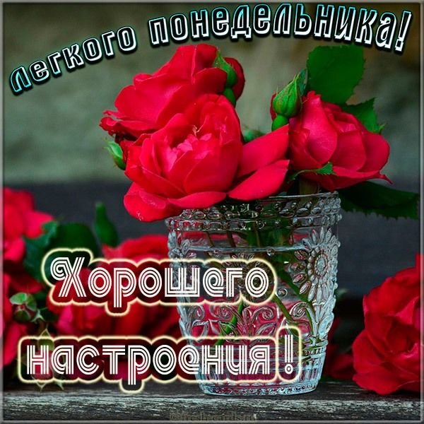 Лёгкого понедельника и хорошего настроения