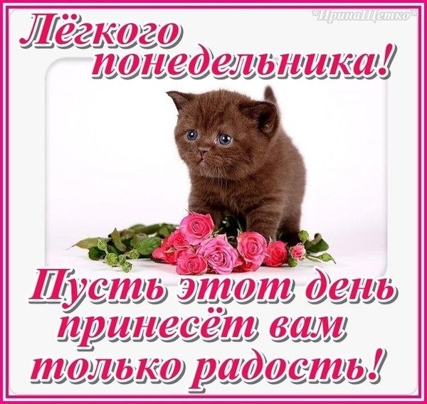 Открытки хорошего понедельника