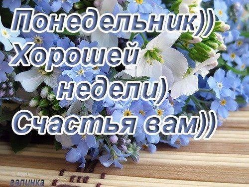 Доброго понедельника и хорошей недели