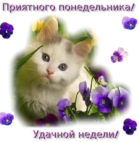 Открытки с добрым понедельником