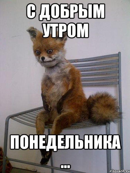 Доброе утро Мем