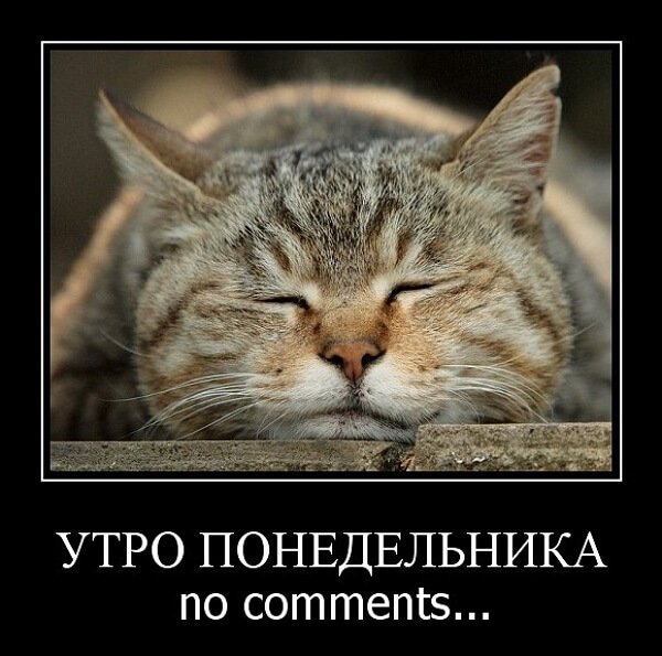 Утро понедельника