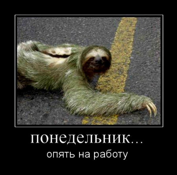 Понедельник и снова на работу
