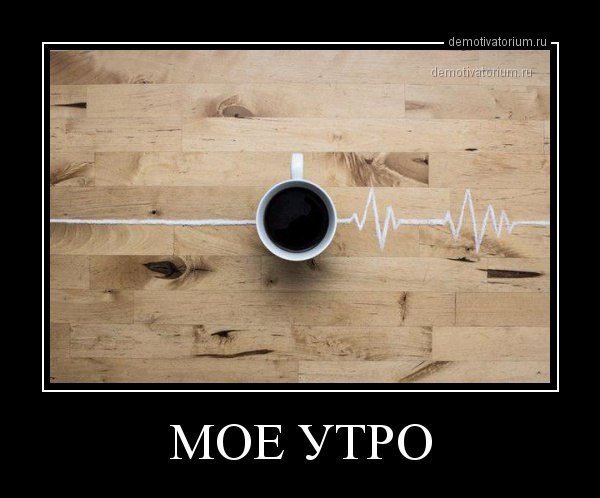 Бодрого понедельника смешные