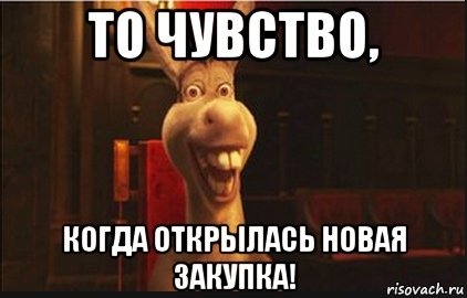 Открыта новая закупка
