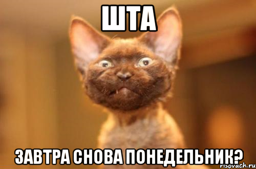 Понедельник приколы