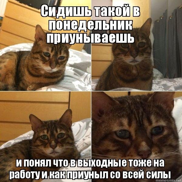 Сидишь такой приунываешь