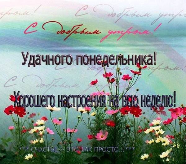 Доброго понедельника и удачной