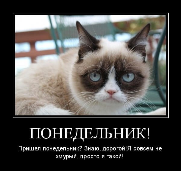 И снова понедельник