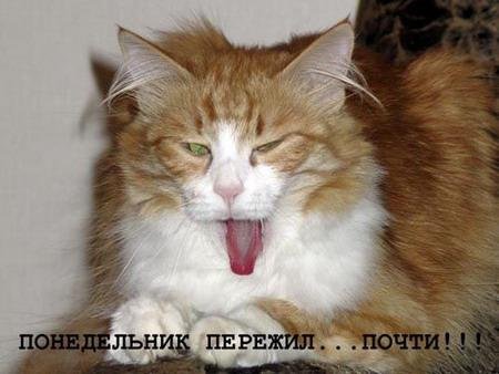 Приколы про вечер понедельника