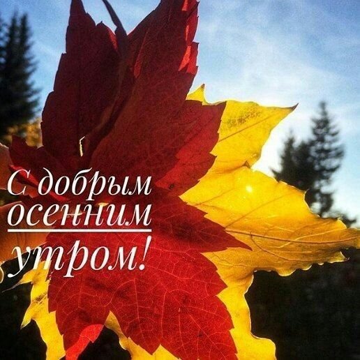 С добрым утром осенним октября