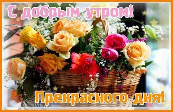 С добрым утром понедельника с цветами