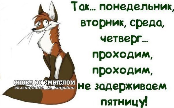 Понедельник лиса