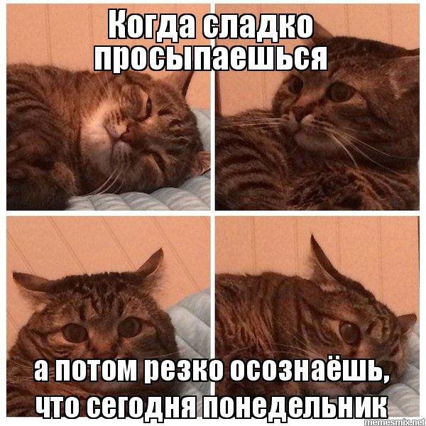 Мемы про понедельник смешные