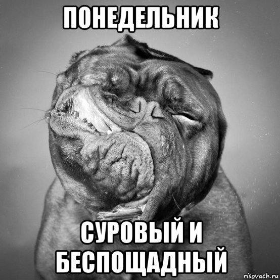 Мемы про понедельник смешные