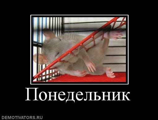 Демотиваторы понедельник день тяжелый