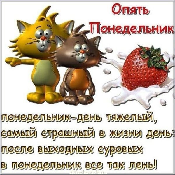 Открытки с понедельником прикольные