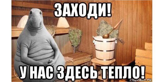Ждун жду баню