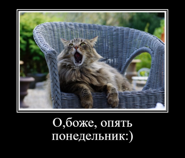 Опять понедельник