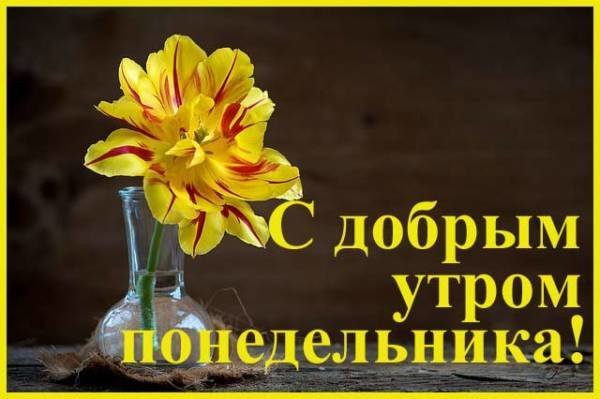 С добрым утром понедельника