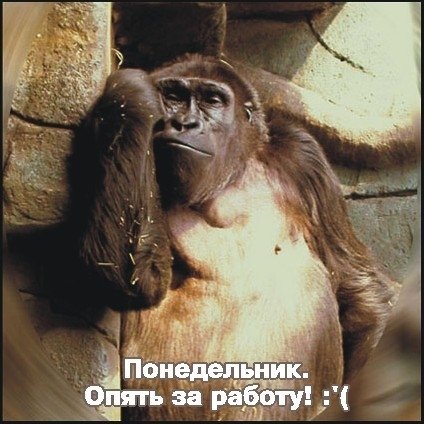 Завтра понедельник и снова