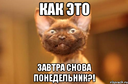 Завтра понедельник