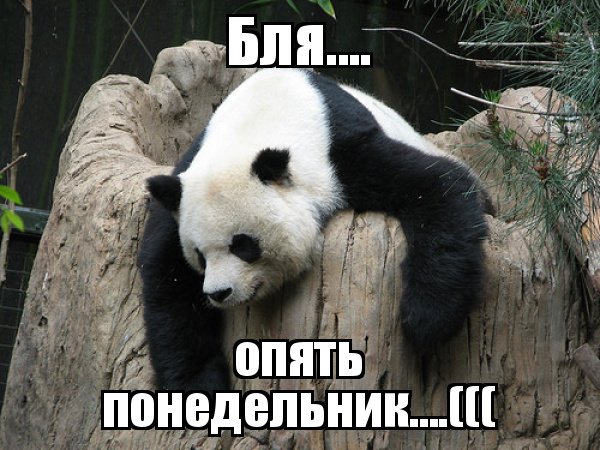 Опять понедельник
