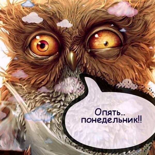 И снова понедельник
