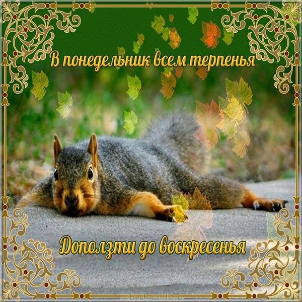 Понедельник закончился