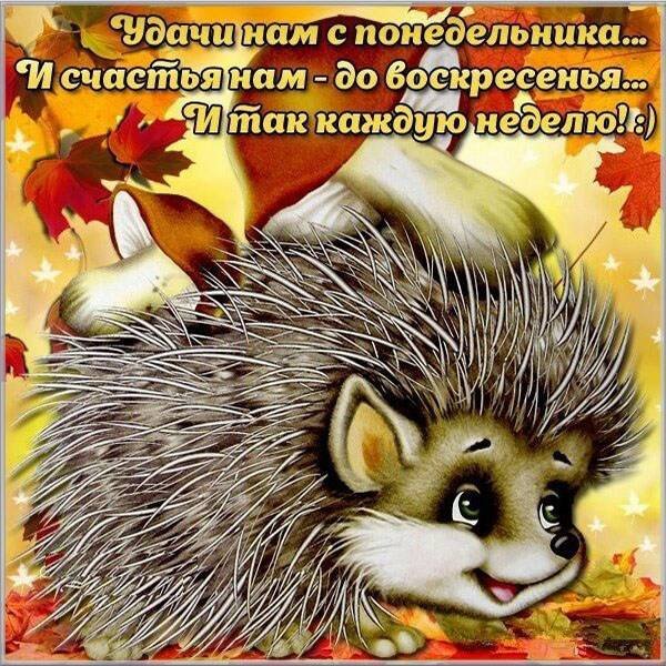 Открытки с понедельником