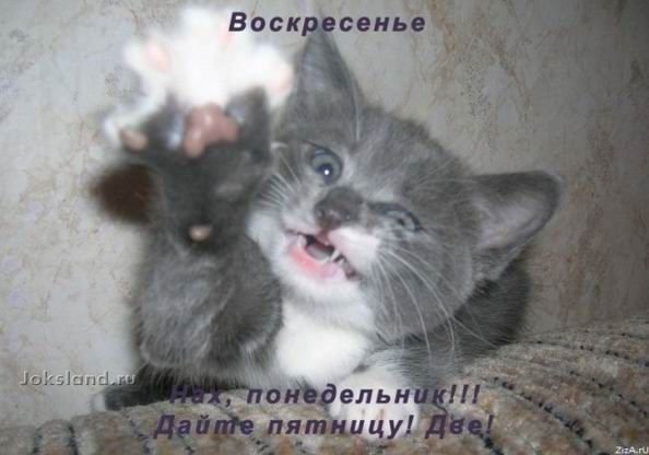 Понедельник пусть не приходит