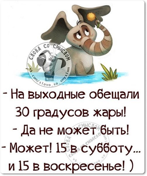 Воскресенье передай понедельнику пусть не приходит картинка