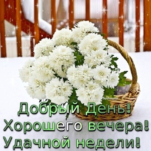 Хорошего дня и вечера