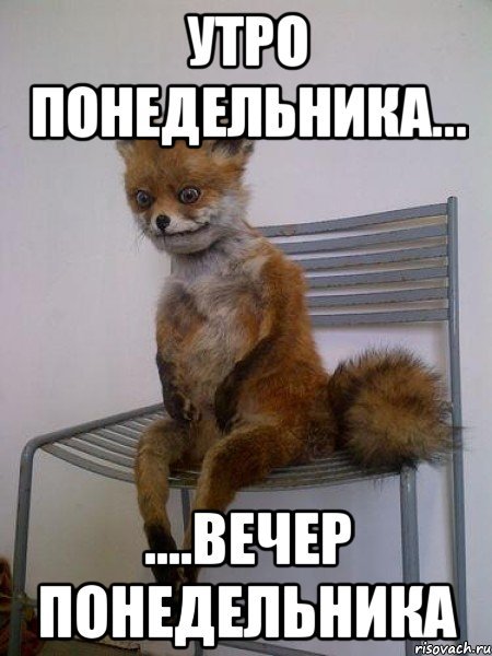 Утро понедельника