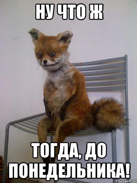 Мем с лисой про понедельник