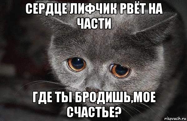 Ты где картинки