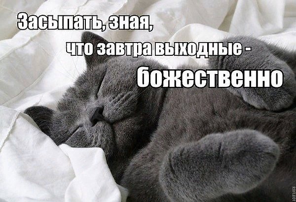 Спокойной ночи завтра воскресенье