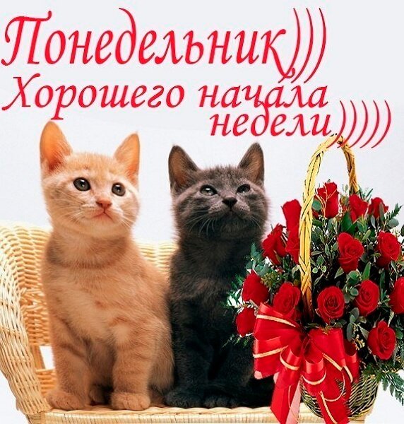 Открытки хорошего понедельника